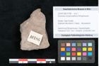Foto (Objekt + Etikett) von Dryandra comptoniaefolia Ettingshausen (NHMW-GEO-2024-0188-10186)